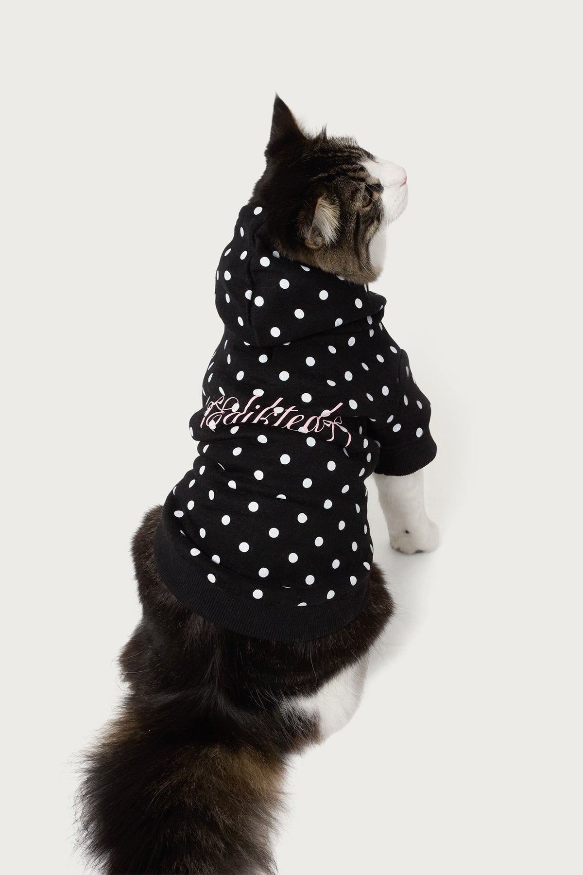 Chelsie Polka Dot Pet Hoodie - Image 4