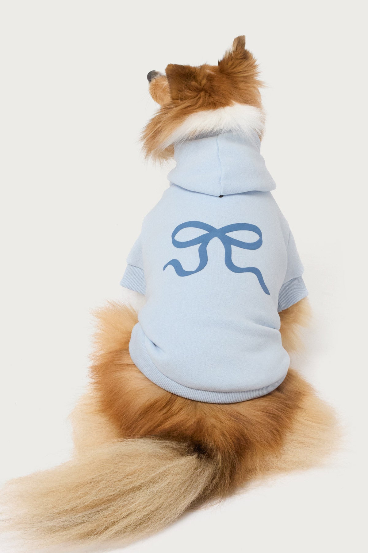 Bonney Bow Pet Hoodie - Image 3