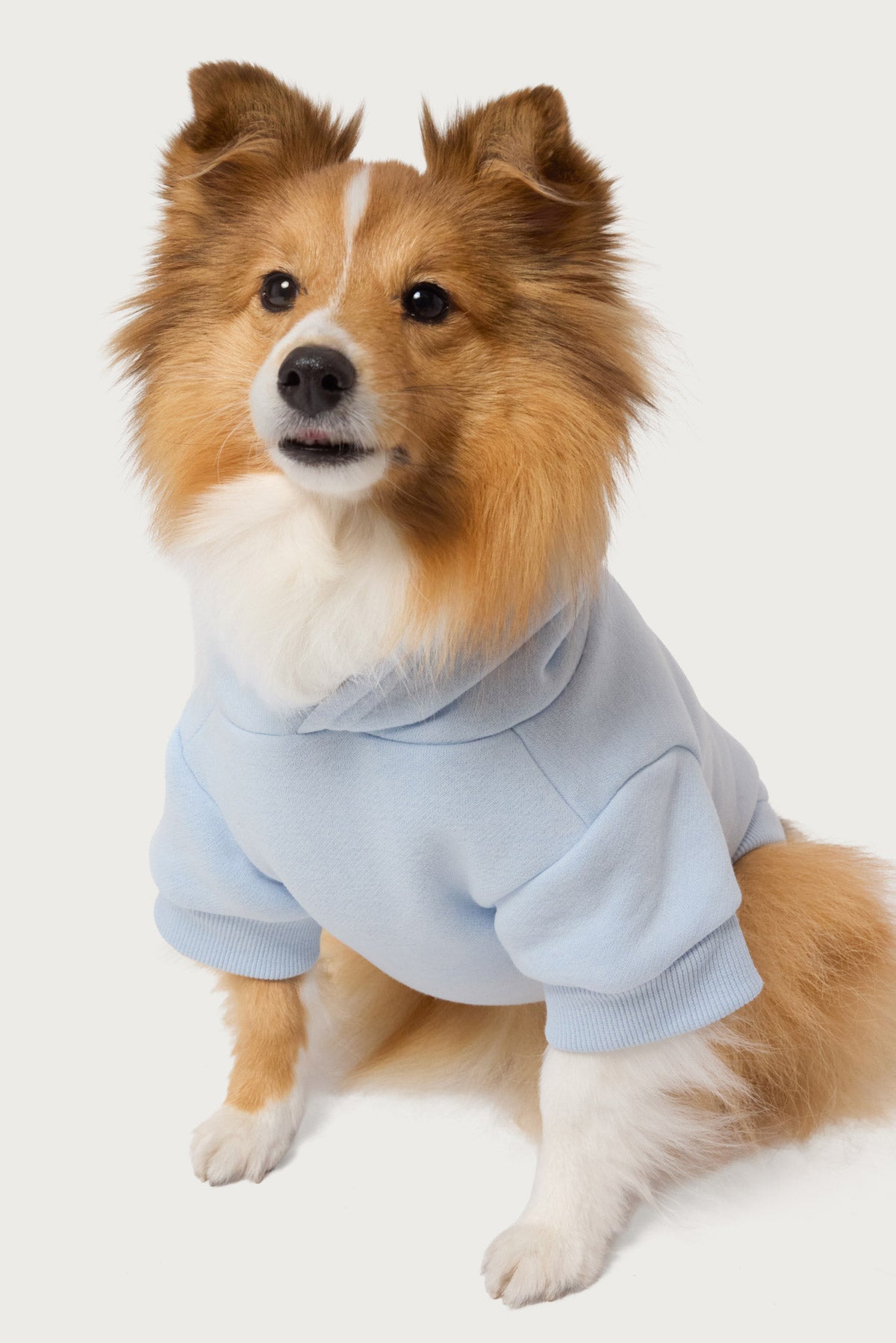 Bonney Bow Pet Hoodie - Image 2