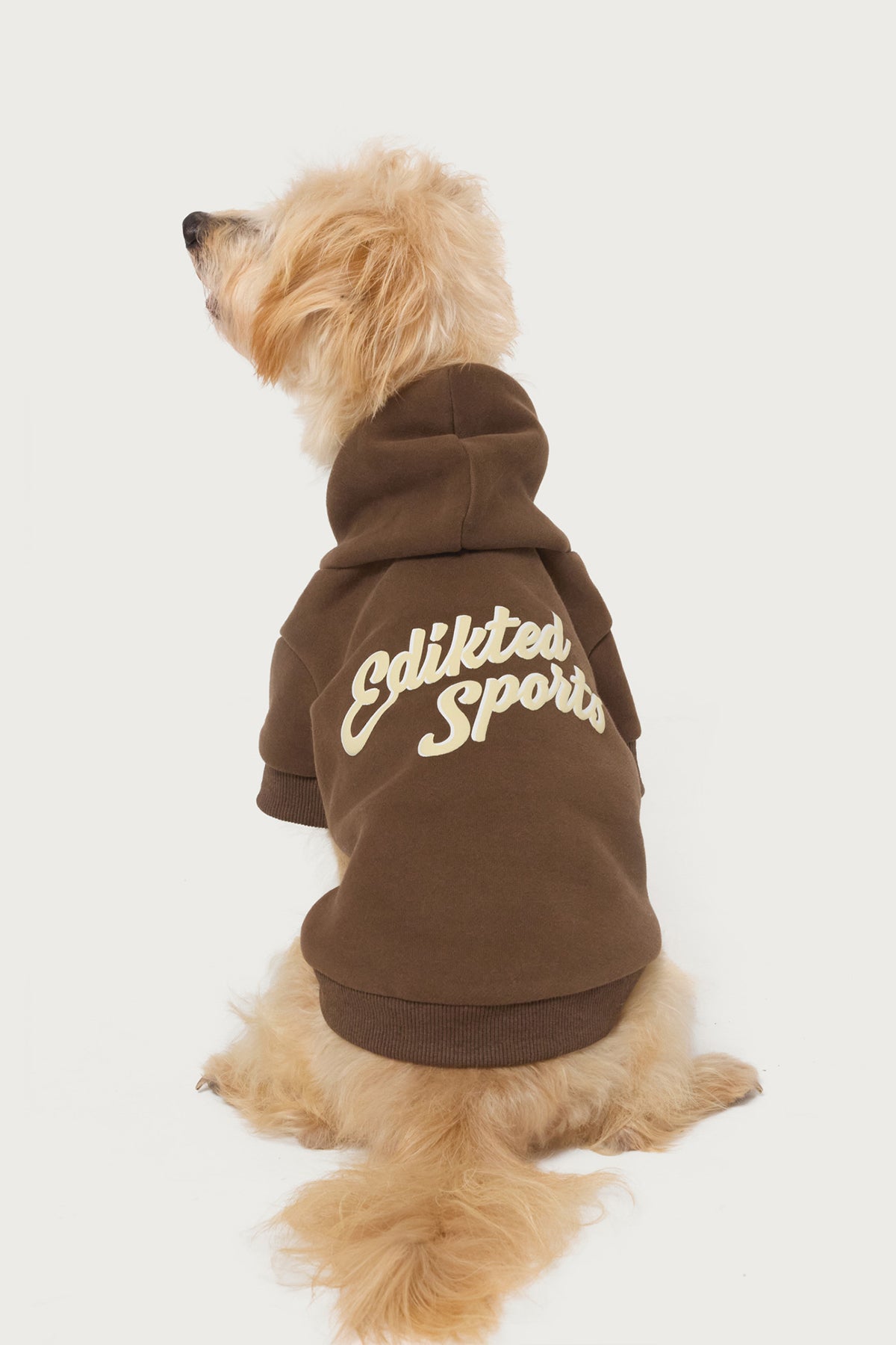 So Sporty Pet Hoodie - Image 2