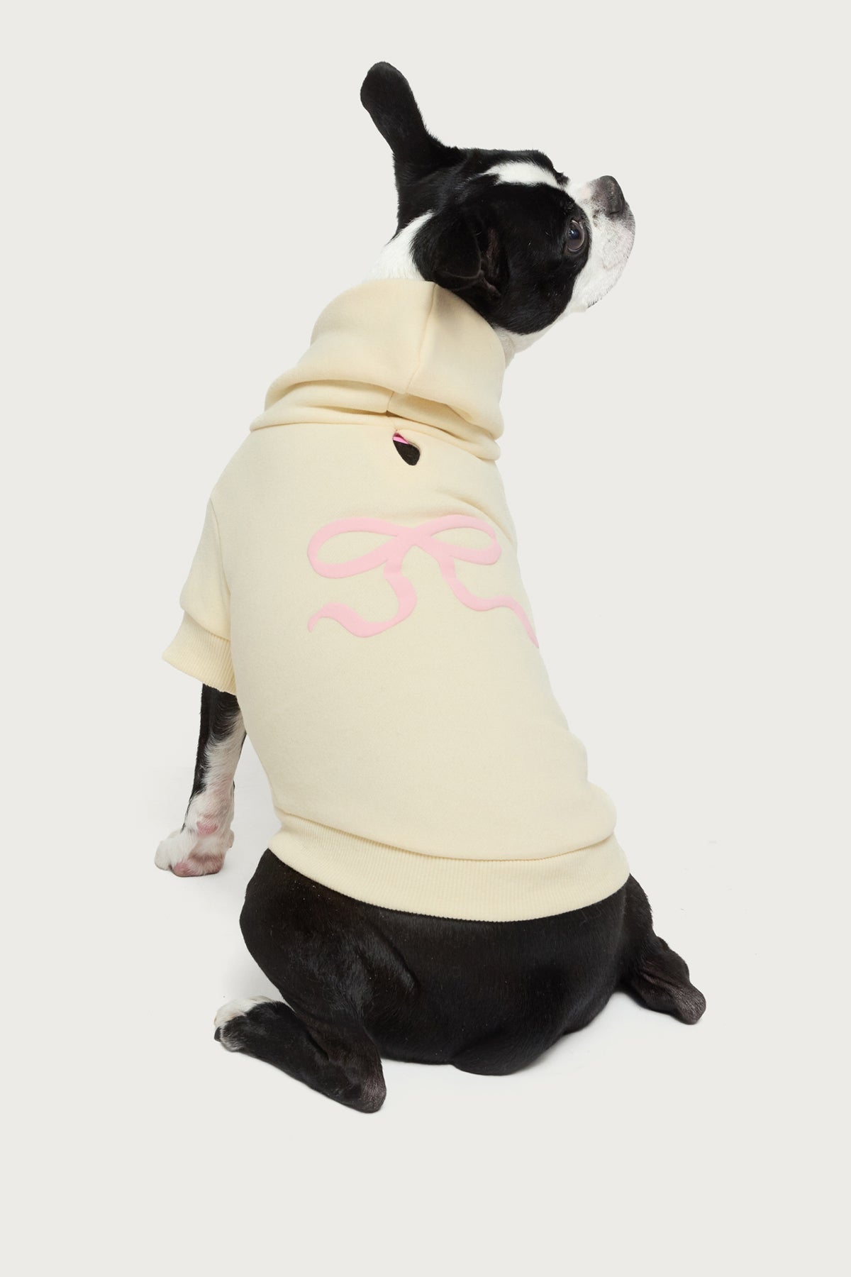 Bonney Bow Pet Hoodie - Image 2