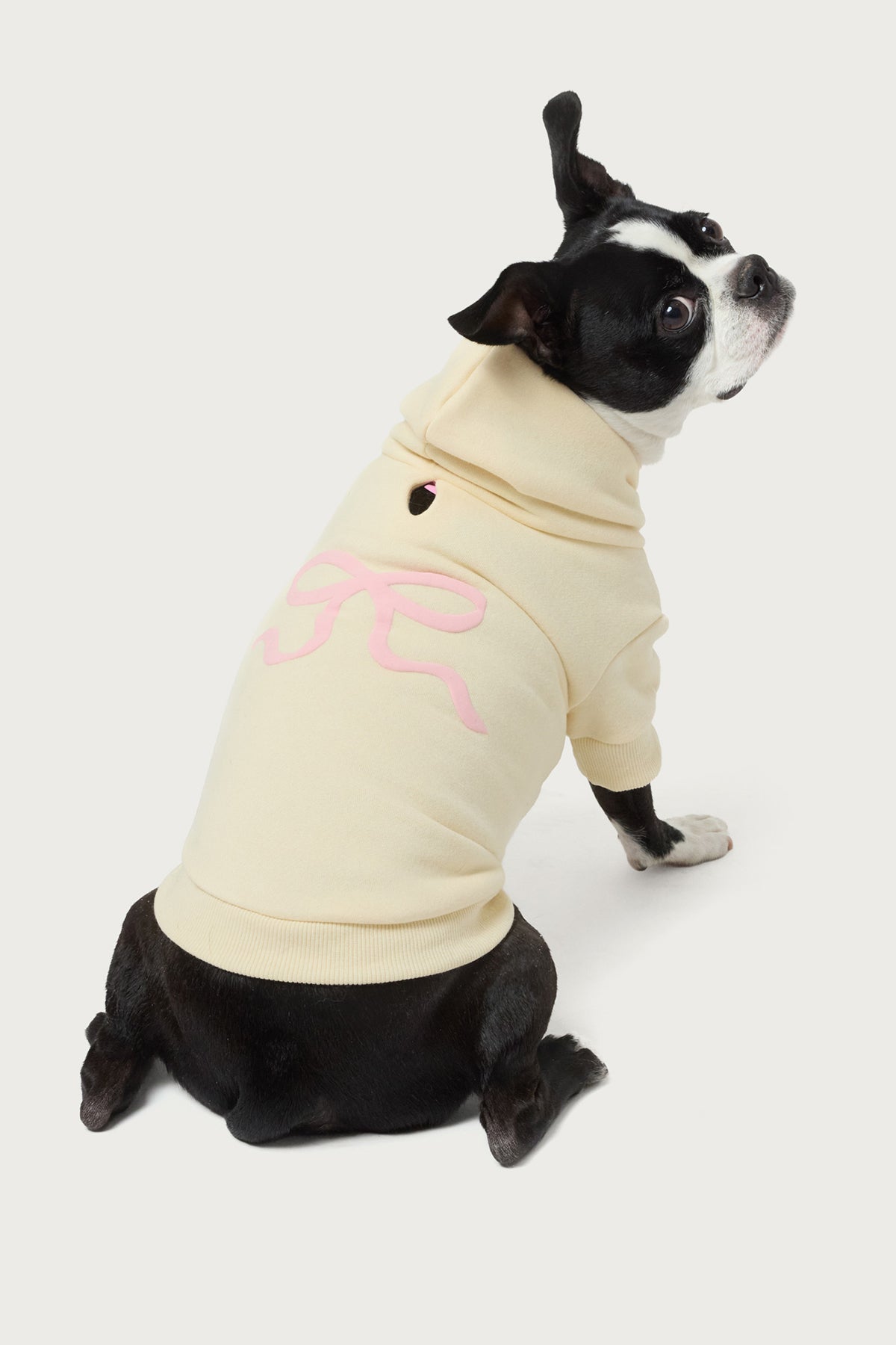 Bonney Bow Pet Hoodie - Image 3