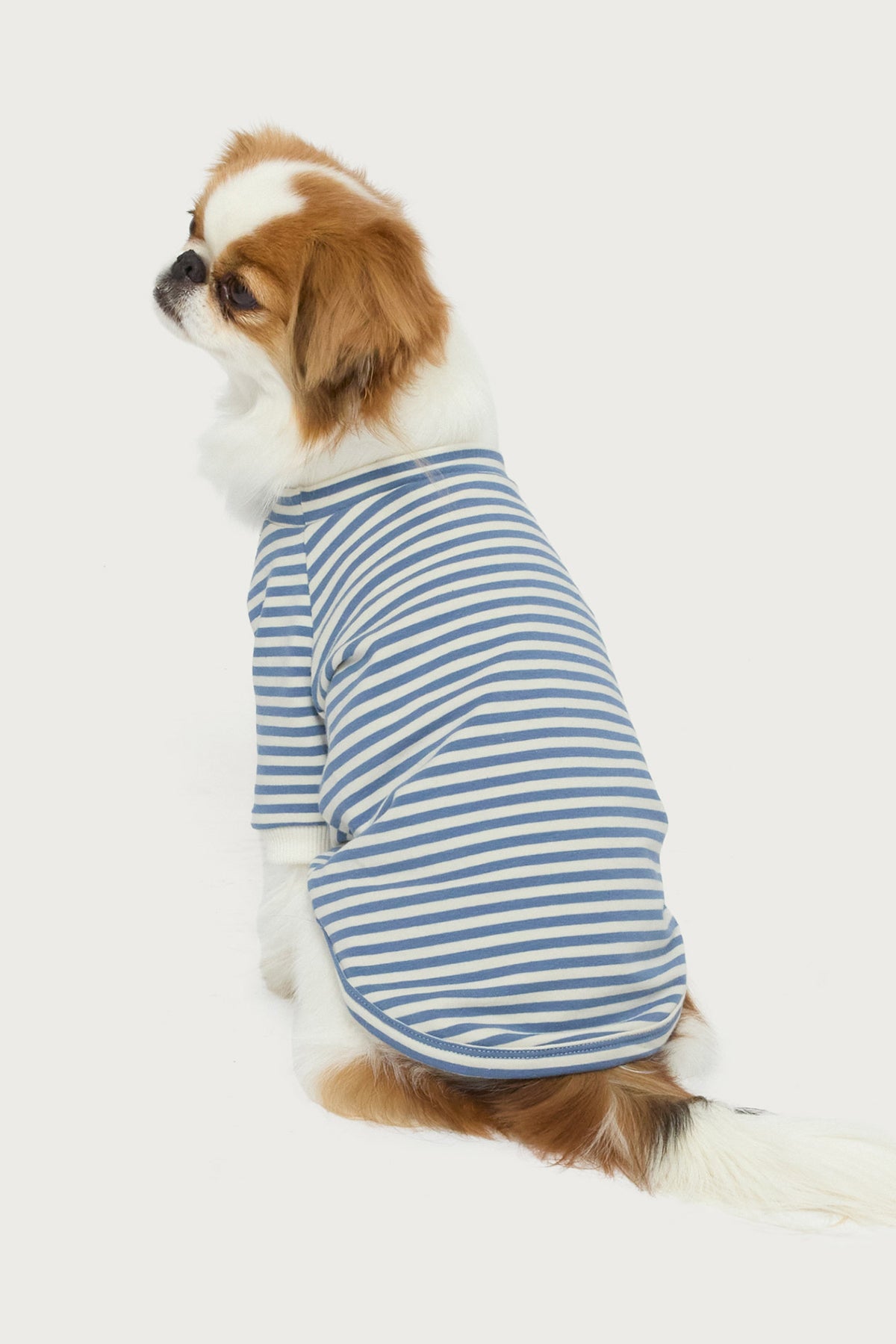 Lilah Striped Pet T Shirt - Image 2