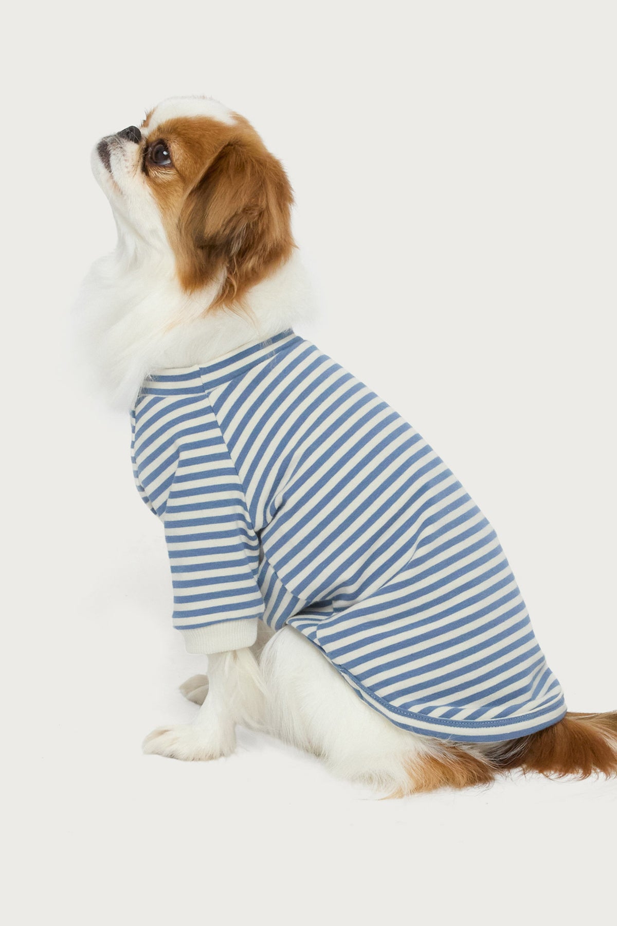 Lilah Striped Pet T Shirt - Image 4