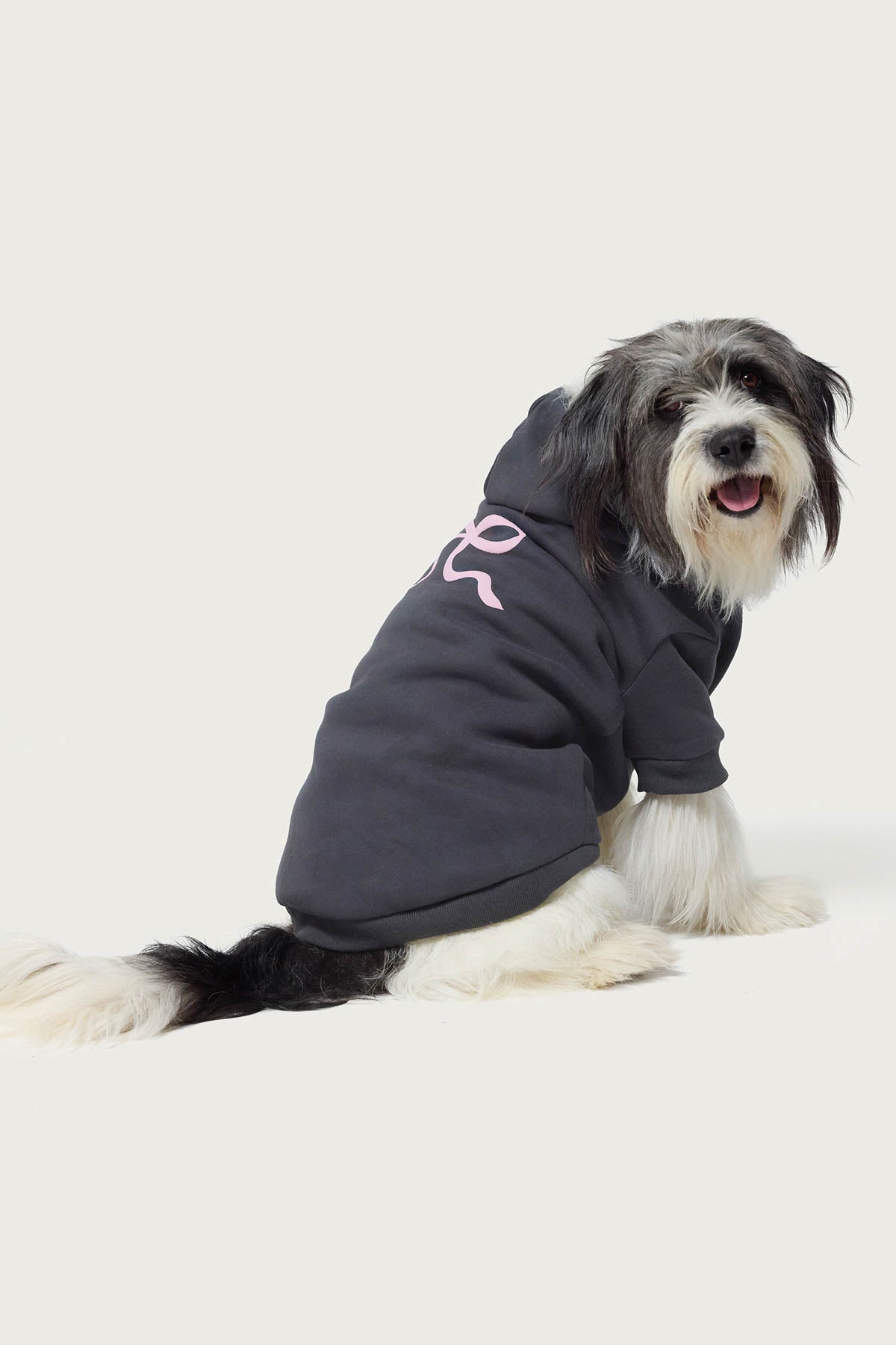 Bonney Bow Pet Hoodie - Image 5